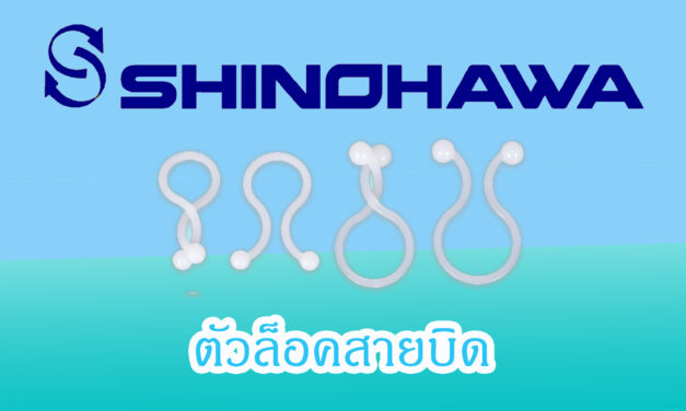 SHINOHAWA : ตัวล็อคสายบิด